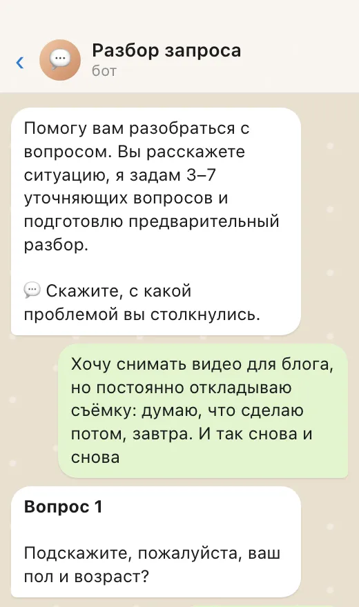 Пример диалога: бот просит описать проблему и задаёт первый уточняющий вопрос